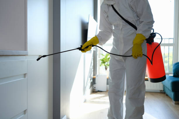 Best Office Mold Removal Services  in Upper Saddle River, NJ