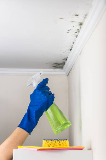 Water Damage Restoration in Upper Saddle River, NJ